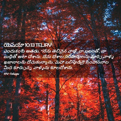 Picture 02 - యెషయా 10:13 TELIRV - ఎందుకంటే అతడు, - Bible Verse Picture
