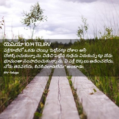 Picture 02 - యెషయా 10:14 TELIRV - పక్షిగూటిలో ఒకడు - Bible Verse Picture
