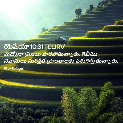 Picture 02 - యెషయా 10:31 TELIRV - మద్మేనా ప్రజలు - Bible Verse Picture