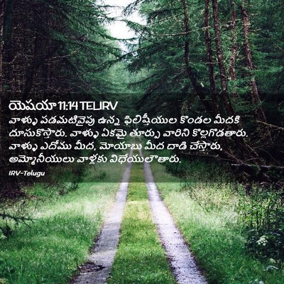 Picture 02 - యెషయా 11:14 TELIRV - వాళ్ళు పడమటివైపు - Bible Verse Picture