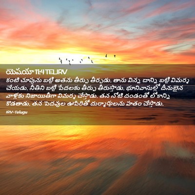 Picture 02 - యెషయా 11:4 TELIRV - కంటి చూపును బట్టి - Bible Verse Picture