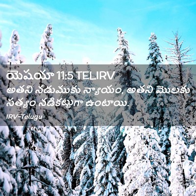 Picture 02 - యెషయా 11:5 TELIRV - అతని నడుముకు - Bible Verse Picture