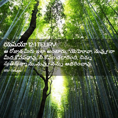 Picture 02 - యెషయా 12:1 TELIRV - ఆ రోజున మీరు ఇలా - Bible Verse Picture