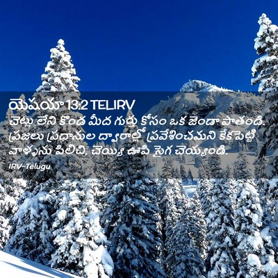 Picture 02 - యెషయా 13:2 TELIRV - చెట్లు లేని కొండ - Bible Verse Picture