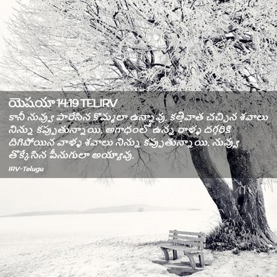 Picture 02 - యెషయా 14:19 TELIRV - కానీ నువ్వు - Bible Verse Picture