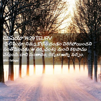 Picture 02 - యెషయా 14:29 TELIRV - “ఫిలిష్తియా, - Bible Verse Picture