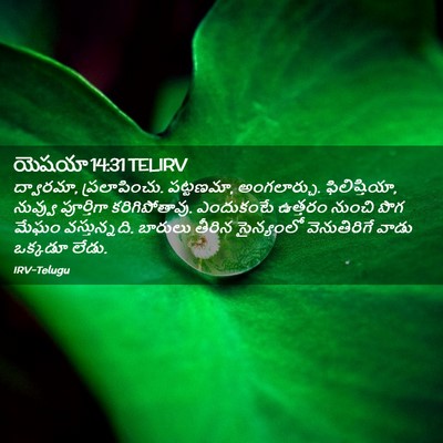Picture 02 - యెషయా 14:31 TELIRV - ద్వారమా, - Bible Verse Picture