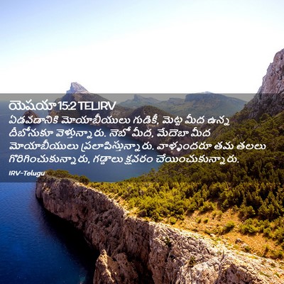Picture 02 - యెషయా 15:2 TELIRV - ఏడవడానికి - Bible Verse Picture