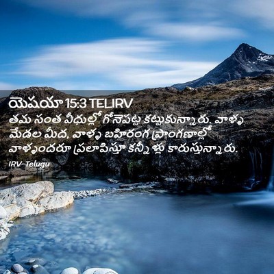 Picture 02 - యెషయా 15:3 TELIRV - తమ సంత వీధుల్లో - Bible Verse Picture
