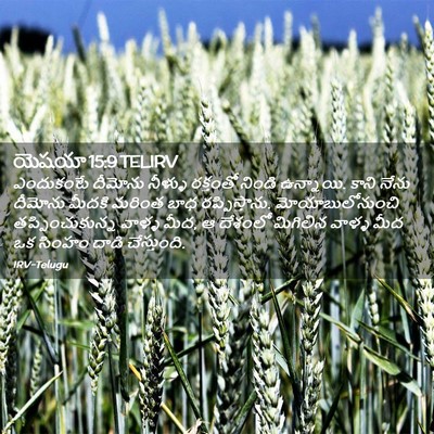 Picture 02 - యెషయా 15:9 TELIRV - ఎందుకంటే దీమోను - Bible Verse Picture