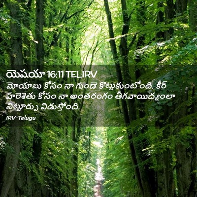 Picture 02 - యెషయా 16:11 TELIRV - మోయాబు కోసం నా - Bible Verse Picture