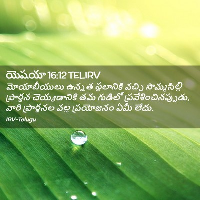 Picture 02 - యెషయా 16:12 TELIRV - మోయాబీయులు ఉన్నత - Bible Verse Picture