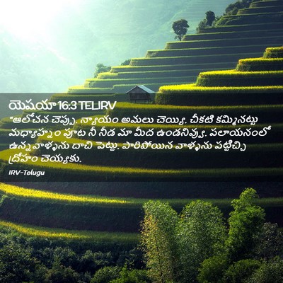 Picture 02 - యెషయా 16:3 TELIRV - “ఆలోచన చెప్పు. - Bible Verse Picture