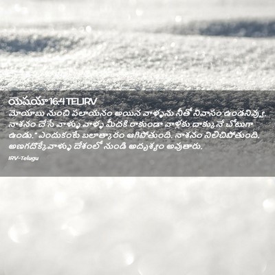 Picture 02 - యెషయా 16:4 TELIRV - మోయాబు నుంచి - Bible Verse Picture