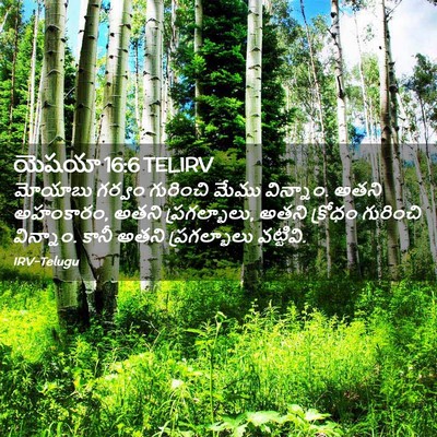 Picture 02 - యెషయా 16:6 TELIRV - మోయాబు గర్వం - Bible Verse Picture