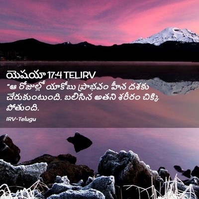Picture 02 - యెషయా 17:4 TELIRV - “ఆ రోజుల్లో - Bible Verse Picture