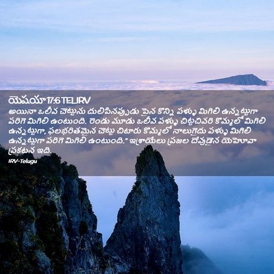 Picture 02 - యెషయా 17:6 TELIRV - అయినా ఒలీవ - Bible Verse Picture