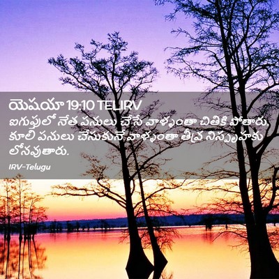 Picture 02 - యెషయా 19:10 TELIRV - ఐగుప్తులో నేత - Bible Verse Picture