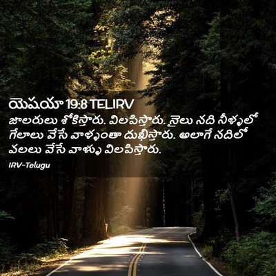 Picture 02 - యెషయా 19:8 TELIRV - జాలరులు - Bible Verse Picture
