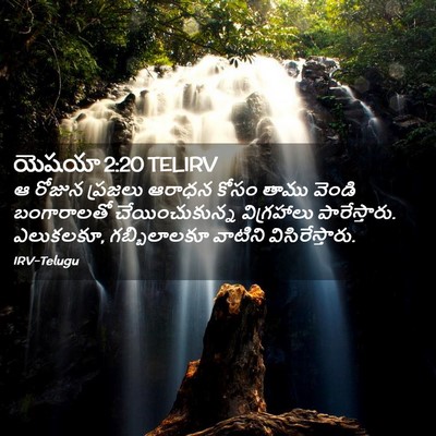 Picture 02 - యెషయా 2:20 TELIRV - ఆ రోజున ప్రజలు - Bible Verse Picture
