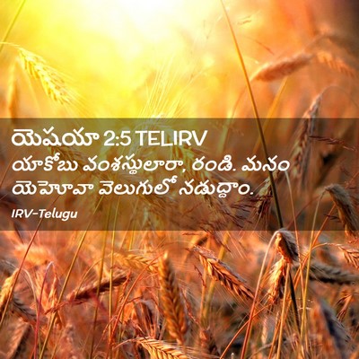 Picture 02 - యెషయా 2:5 TELIRV - యాకోబు - Bible Verse Picture