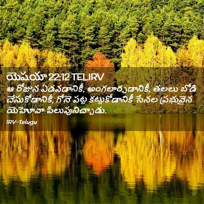 Picture 02 - యెషయా 22:12 TELIRV - ఆ రోజున ఏడవడానికీ, - Bible Verse Picture