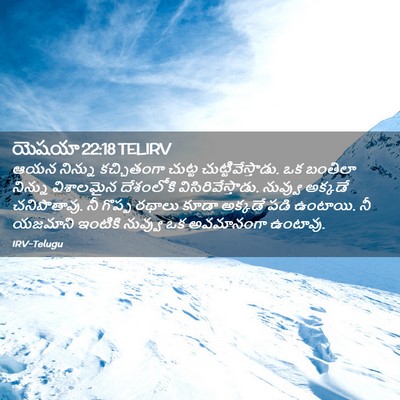 Picture 02 - యెషయా 22:18 TELIRV - ఆయన నిన్ను - Bible Verse Picture