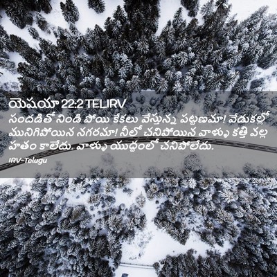 Picture 02 - యెషయా 22:2 TELIRV - సందడితో నిండి - Bible Verse Picture