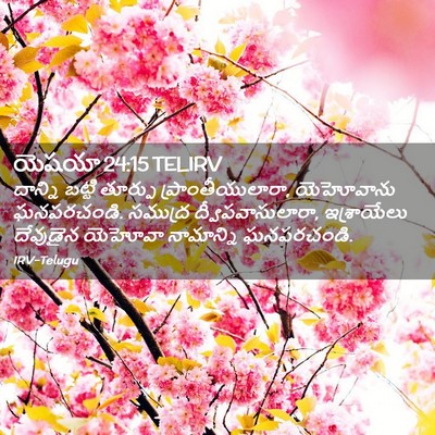 Picture 02 - యెషయా 24:15 TELIRV - దాన్ని బట్టి - Bible Verse Picture