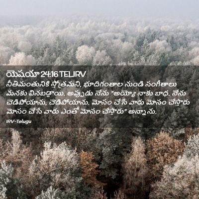 Picture 02 - యెషయా 24:16 TELIRV - నీతిమంతునికి - Bible Verse Picture