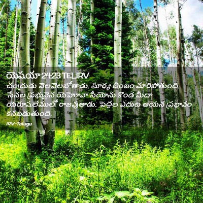 Picture 02 - యెషయా 24:23 TELIRV - చంద్రుడు - Bible Verse Picture