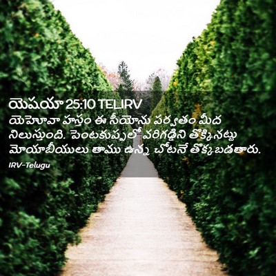 Picture 02 - యెషయా 25:10 TELIRV - యెహోవా హస్తం ఈ - Bible Verse Picture