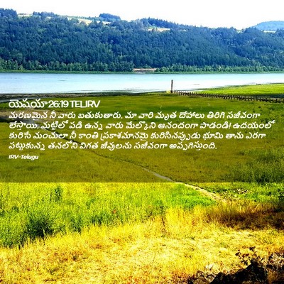 Picture 02 - యెషయా 26:19 TELIRV - మరణమైన నీ వారు - Bible Verse Picture