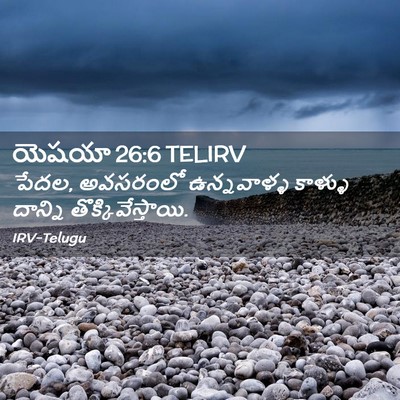 Picture 02 - యెషయా 26:6 TELIRV - పేదల, అవసరంలో - Bible Verse Picture