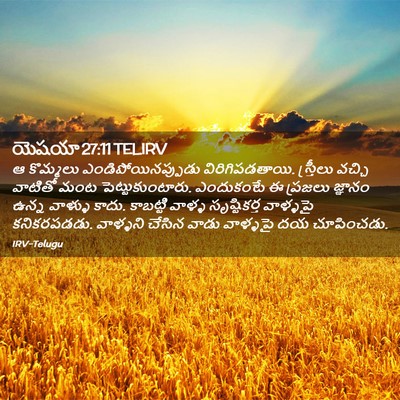 Picture 02 - యెషయా 27:11 TELIRV - ఆ కొమ్మలు - Bible Verse Picture