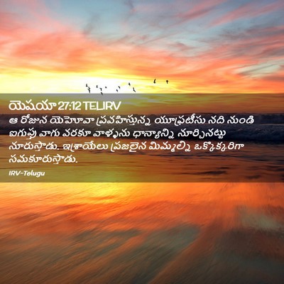 Picture 02 - యెషయా 27:12 TELIRV - ఆ రోజున యెహోవా - Bible Verse Picture