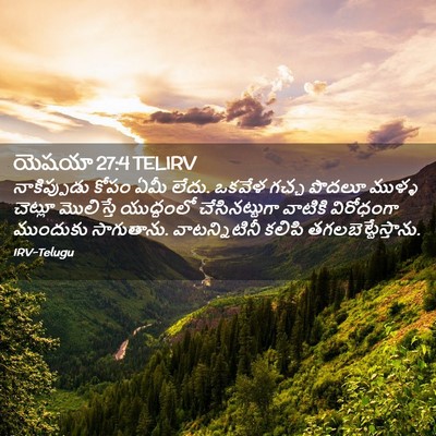 Picture 02 - యెషయా 27:4 TELIRV - నాకిప్పుడు కోపం - Bible Verse Picture