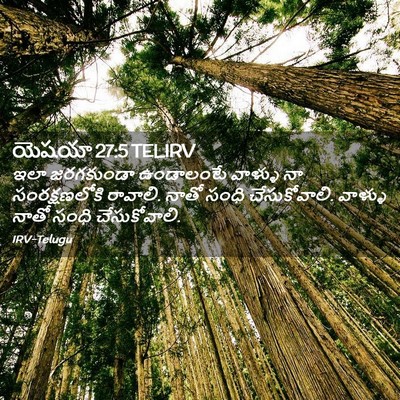 Picture 02 - యెషయా 27:5 TELIRV - ఇలా జరగకుండా - Bible Verse Picture