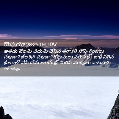 Picture 02 - యెషయా 28:25 TELIRV - అతడు నేలను చదును - Bible Verse Picture