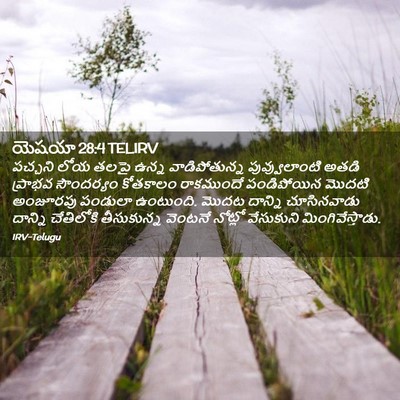 Picture 02 - యెషయా 28:4 TELIRV - పచ్చని లోయ తలపై - Bible Verse Picture