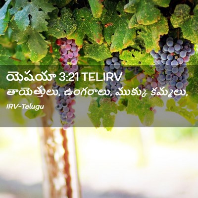 Picture 02 - యెషయా 3:21 TELIRV - తాయెత్తులు, - Bible Verse Picture