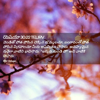 Picture 02 - యెషయా 30:22 TELIRV - వెండితో పోత పోసిన - Bible Verse Picture