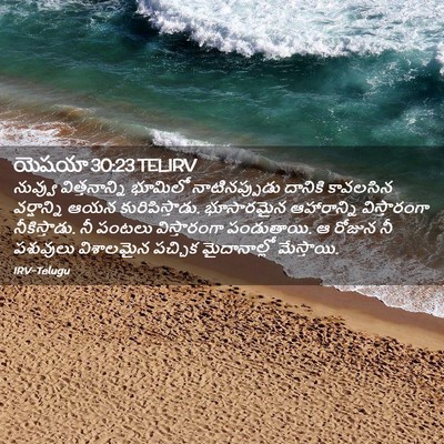 Picture 02 - యెషయా 30:23 TELIRV - నువ్వు - Bible Verse Picture