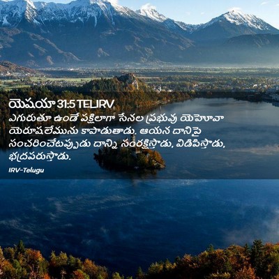 Picture 02 - యెషయా 31:5 TELIRV - ఎగురుతూ ఉండే - Bible Verse Picture