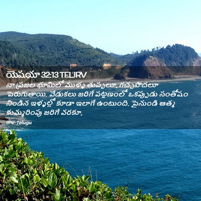 Picture 02 - యెషయా 32:13 TELIRV - నా ప్రజల భూమిలో - Bible Verse Picture