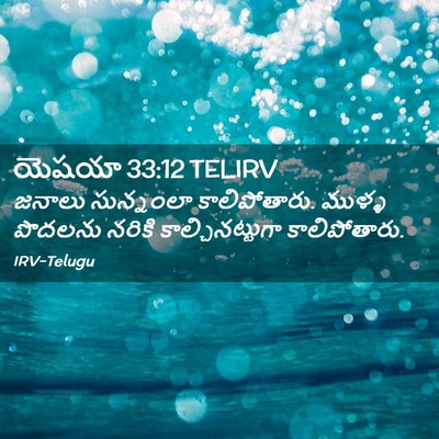 Picture 02 - యెషయా 33:12 TELIRV - జనాలు సున్నంలా - Bible Verse Picture