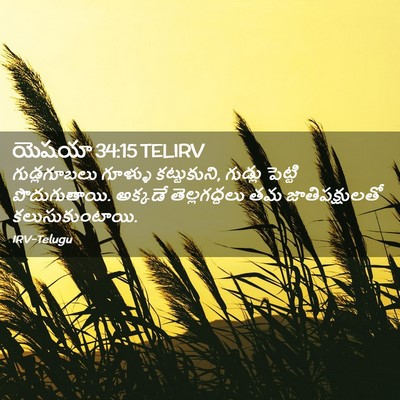 Picture 02 - యెషయా 34:15 TELIRV - గుడ్లగూబలు గూళ్ళు - Bible Verse Picture