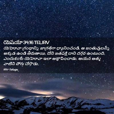 Picture 02 - యెషయా 34:16 TELIRV - యెహోవా గ్రంథాన్ని - Bible Verse Picture