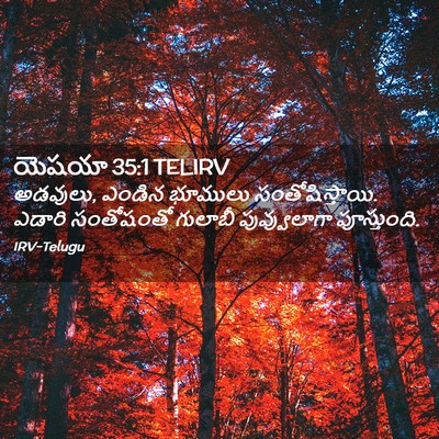Picture 02 - యెషయా 35:1 TELIRV - అడవులు, ఎండిన - Bible Verse Picture