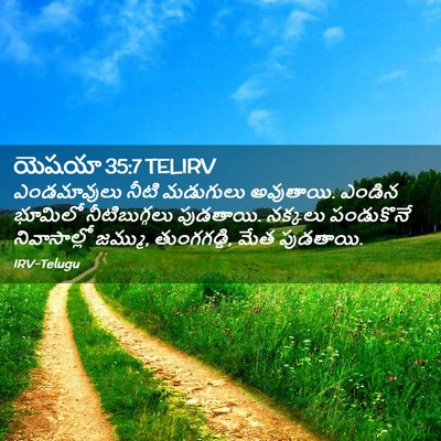 Picture 02 - యెషయా 35:7 TELIRV - ఎండమావులు నీటి - Bible Verse Picture